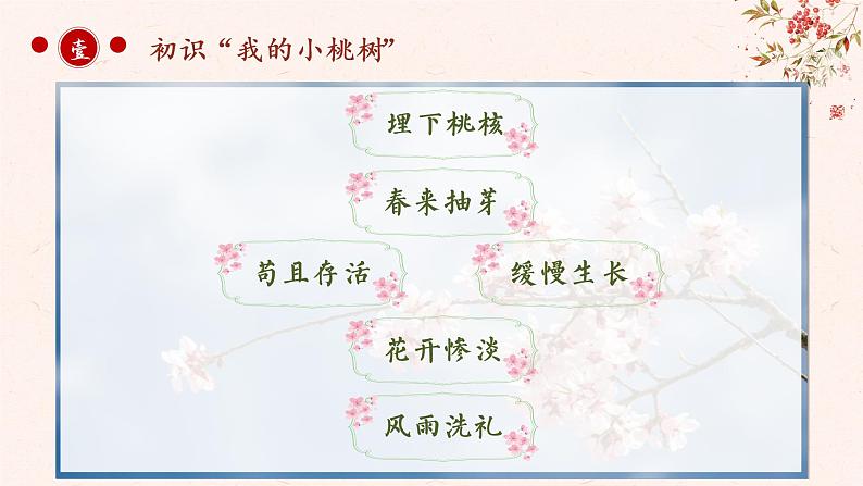 初中 初一 语文《一棵小桃树》第一课时   课件第5页