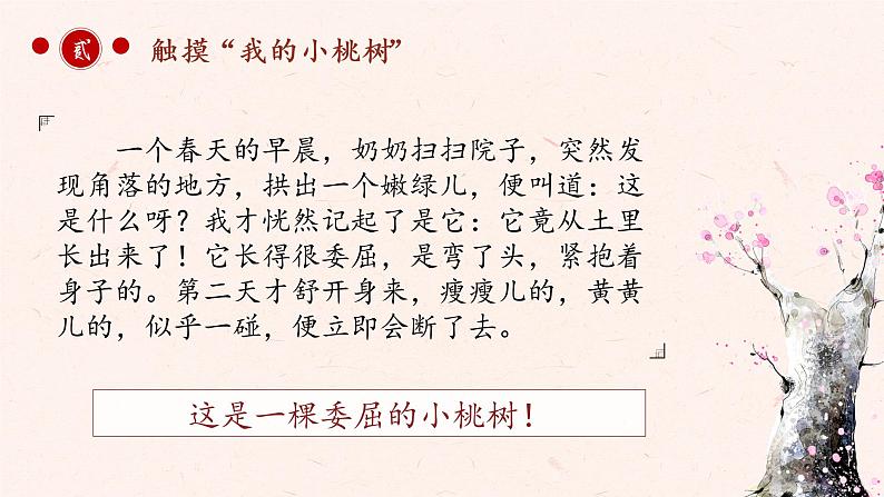 初中 初一 语文《一棵小桃树》第一课时   课件第7页