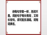 部编版八年级语文上册-《如梦令（常记溪亭日暮）》课件4