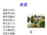 部编版八年级语文上册-26.诗词五首--《春望》课件4
