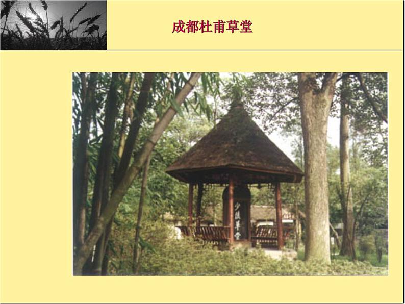 部编版八年级语文上册-26.诗词五首--《春望》课件3第8页