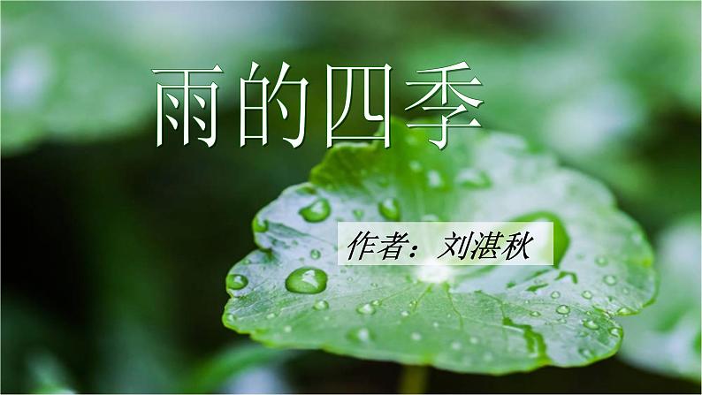 第3课《雨的四季》课件（共23张PPT）2022—2023学年部编版语文七年级上册第1页