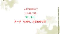 初中语文人教部编版九年级下册1 祖国啊，我亲爱的祖国教学ppt课件