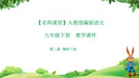 人教部编版九年级下册2* 梅岭三章教学课件ppt
