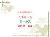 部编版语文九年级下册 教学课件_ 海燕（第2课时）3