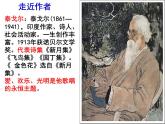 部编版七年级语文上册--7.散文诗两首《金色花》课件