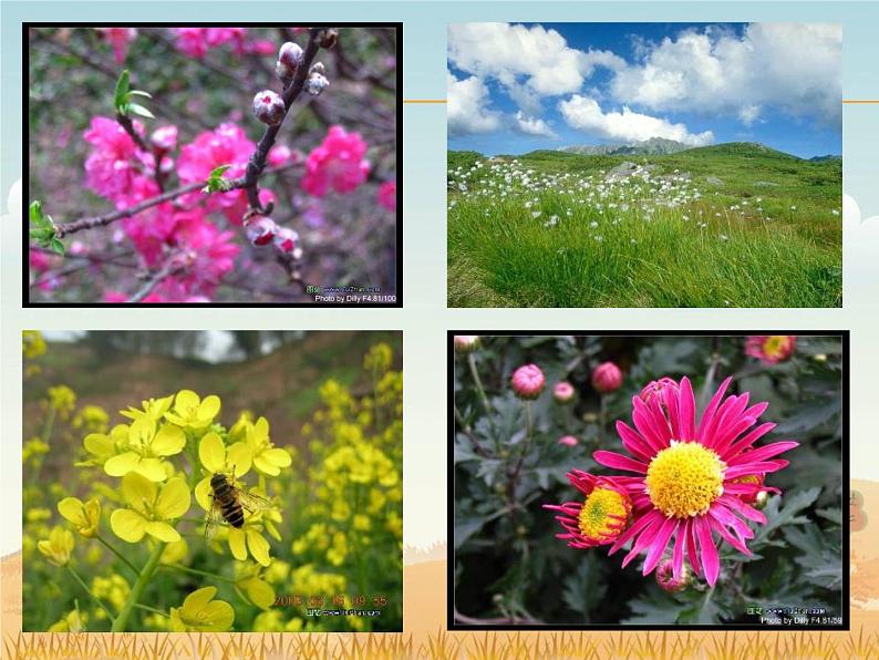 部编版七年级语文上册--1《春》课件2第1页