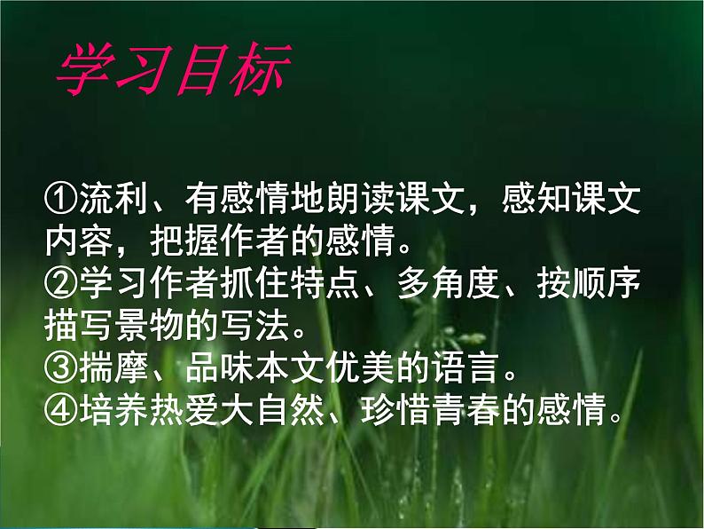 部编版七年级语文上册--1《春》课件307