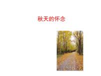 人教部编版七年级上册5 秋天的怀念教学演示ppt课件