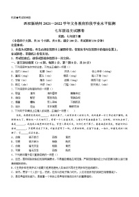 云南省西双版纳傣族自治州2021-2022学年七年级下学期期末语文试题(word版含答案)
