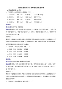 四川省眉山市2022年中考语文真题试卷解析版