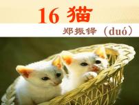初中语文人教部编版七年级上册16 猫课文配套课件ppt