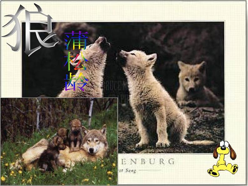 部编版七年级语文上册--18《狼》课件2第1页