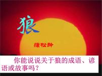 人教部编版七年级上册18 狼教学ppt课件