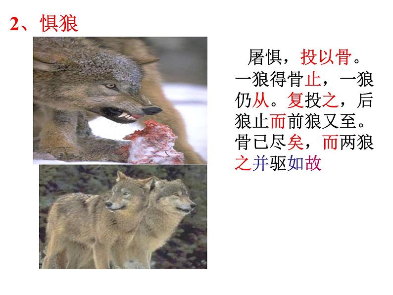 部编版七年级语文上册--18《狼》课件06
