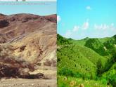 部编版七年级语文上册--13《植树的牧羊人》课件1