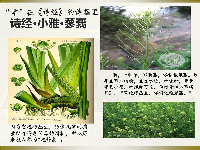 部编版七年级语文上册--综合性学习《少年正是读书时》课件第7页