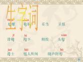 部编版七年级语文上册--19《皇帝的新装》课件3