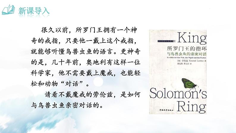 2022年人教部编版七年级上册17  动物笑谈课件01