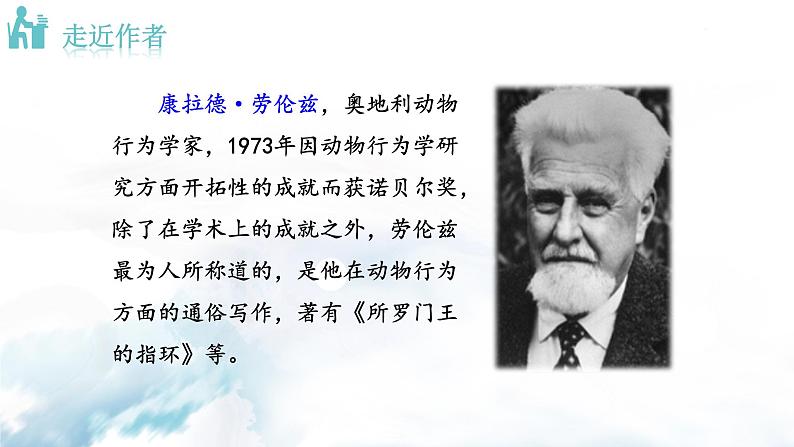 2022年人教部编版七年级上册17  动物笑谈课件04