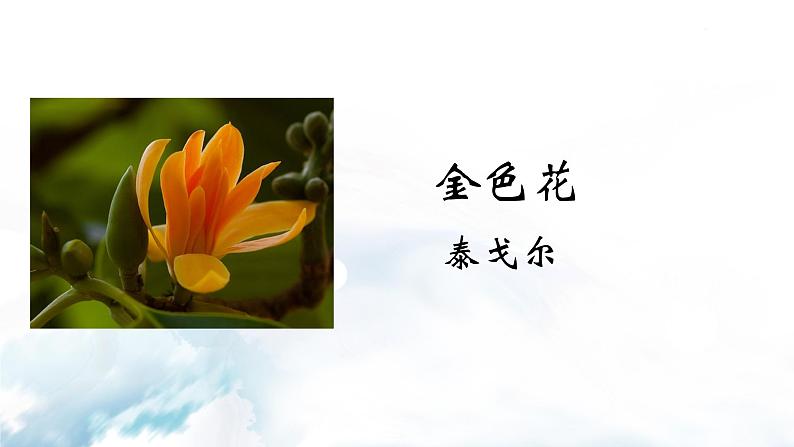 金色花+荷叶·母亲第3页