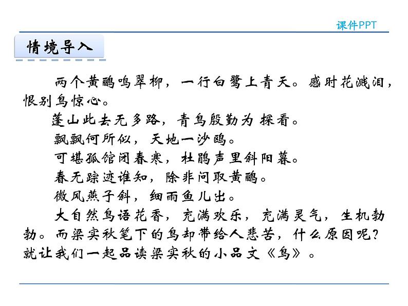 2022年人教部编版七年级上册18鸟课件04
