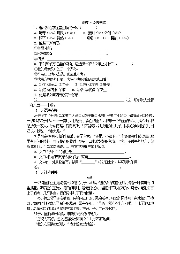 2022年人教部编版七年级上册散步·评估测试01