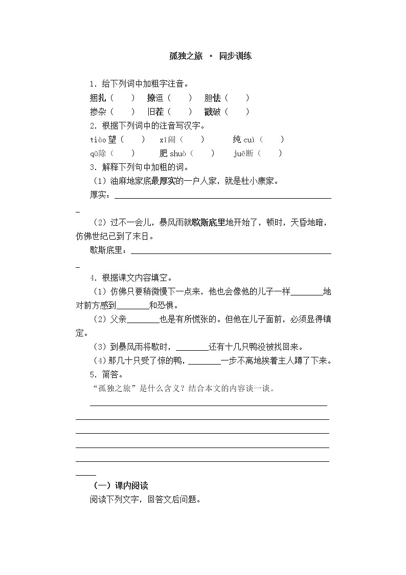 2022年人教部编版八九年级上册《孤独之旅》同步练习第1页