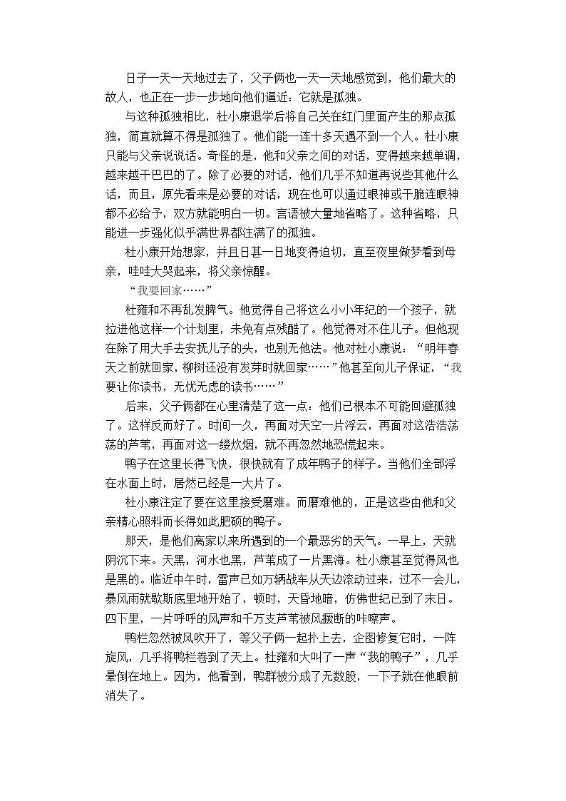 2022年人教部编版八九年级上册《孤独之旅》同步练习第2页