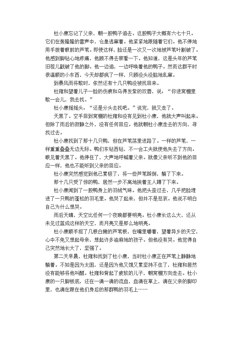 2022年人教部编版八九年级上册《孤独之旅》同步练习第3页