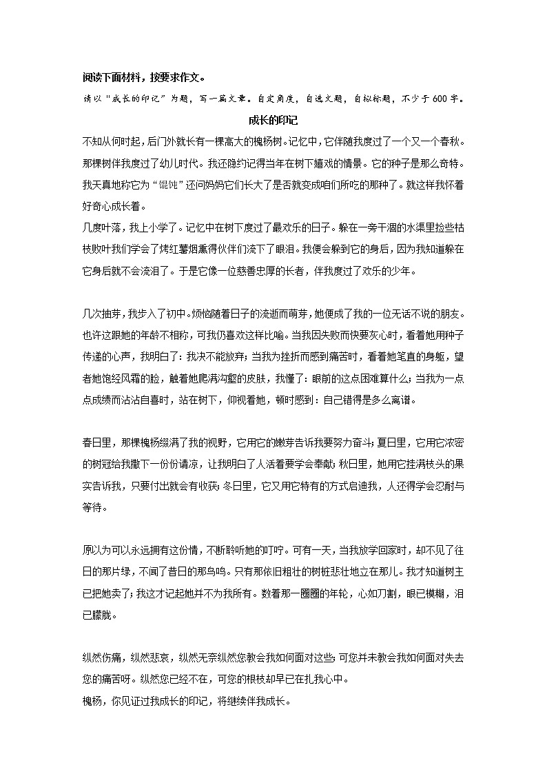 专题11  《成长的印记》第1页