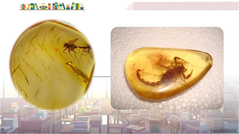 2022年人教部编版语文八年级下册8 时间的脚印课件04