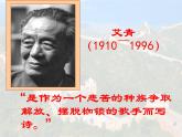 部编版九年级语文上册--3.我爱这土地--课件