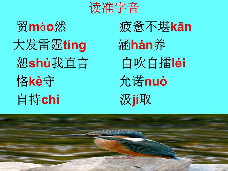 部编版九年级语文上册--9.论教养--课件06