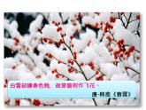 部编版九年级语文上册--1《沁园春·雪》课件--课件2