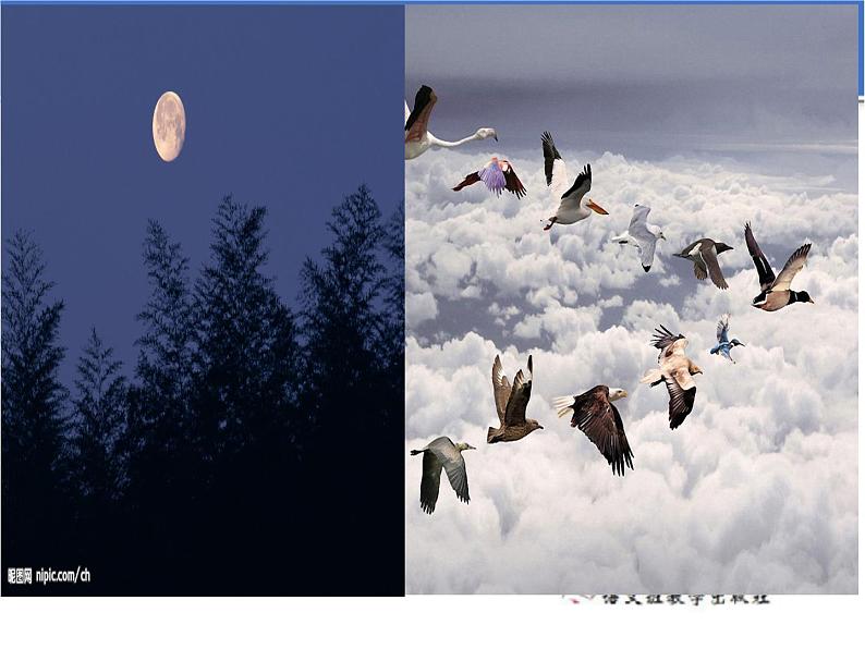 部编版九年级语文上册--4.乡愁--课件105