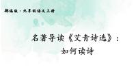 2020-2021学年第一单元名著导读（一）《艾青诗选》：如何读诗教课内容课件ppt