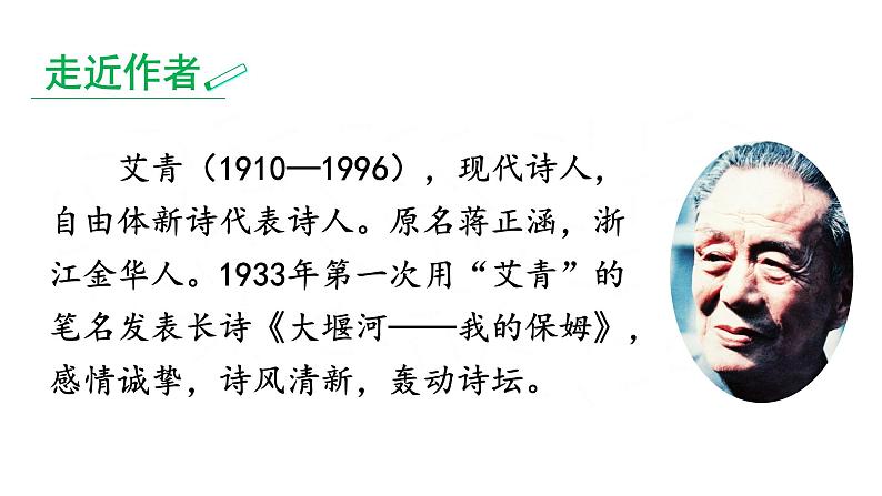 部编版九年级语文上册--名著导读-艾青诗选-如何读诗--课件1第2页