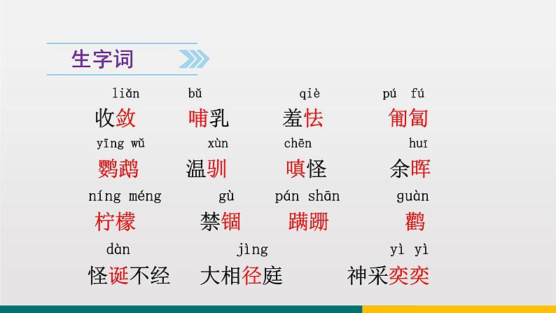 统编版中学语文七年级上 第五单元 17  动物笑谈 课件05