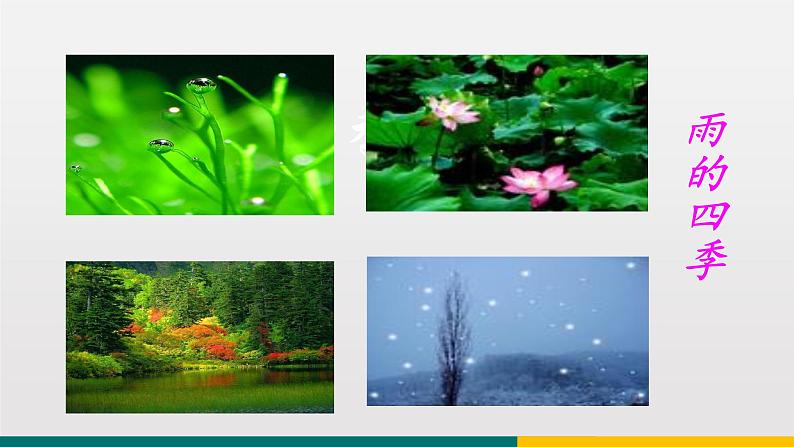 统编版中学语文七年级上 第一单元  3  雨的四季 课件02