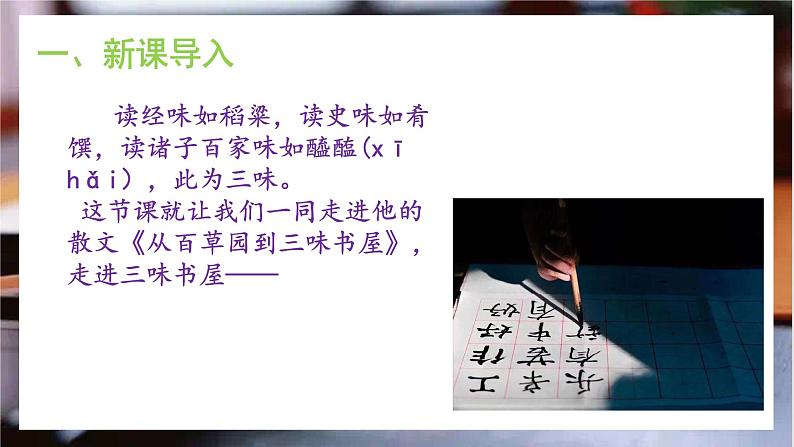 9《从百草园到三味书屋》课件+教学设计04
