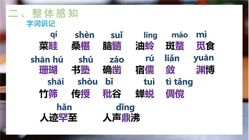 9《从百草园到三味书屋》课件+教学设计07