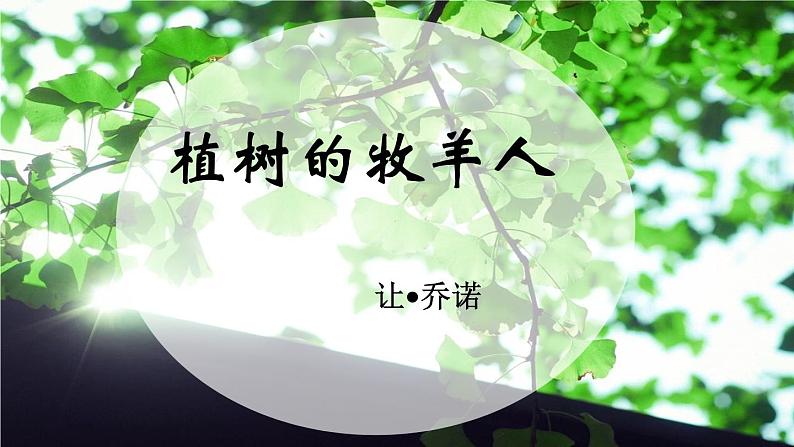 13《植树的牧羊人》课件+教学设计01