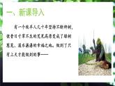 13《植樹的牧羊人》課件+教學(xué)設(shè)計
