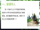 13《植树的牧羊人》课件+教学设计