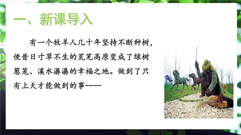 13《植树的牧羊人》课件+教学设计04