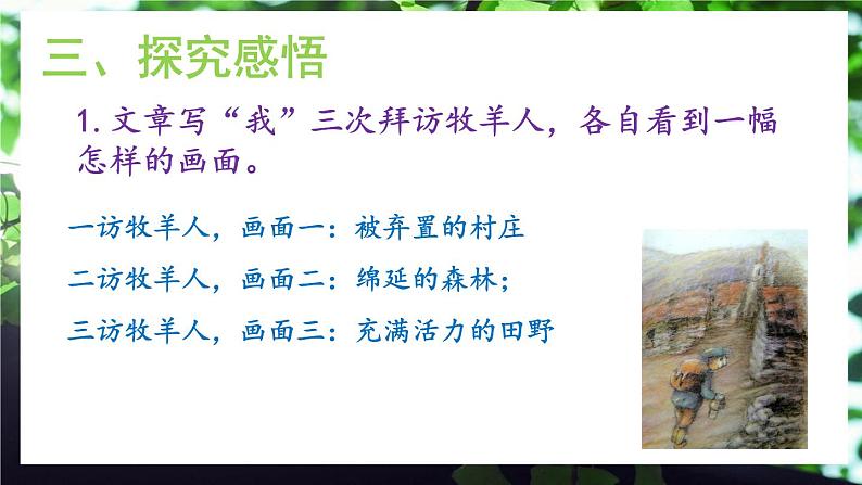 13《植树的牧羊人》课件+教学设计07