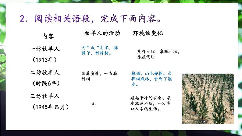 13《植树的牧羊人》课件+教学设计08