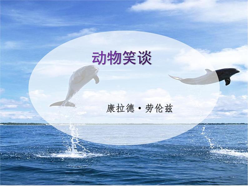 17《动物笑谈》课件+教学设计01