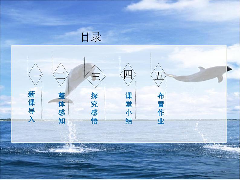 17《动物笑谈》课件+教学设计02
